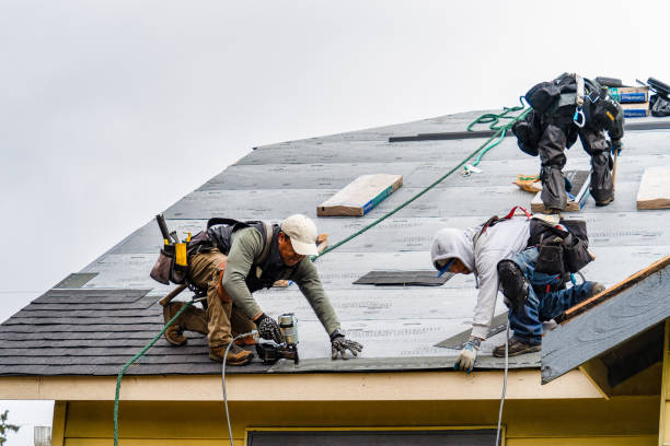 Professional Gutter Installation technician working in Randall, MN